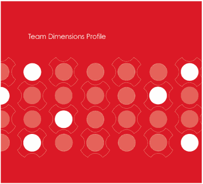 Team Dimensions Profile